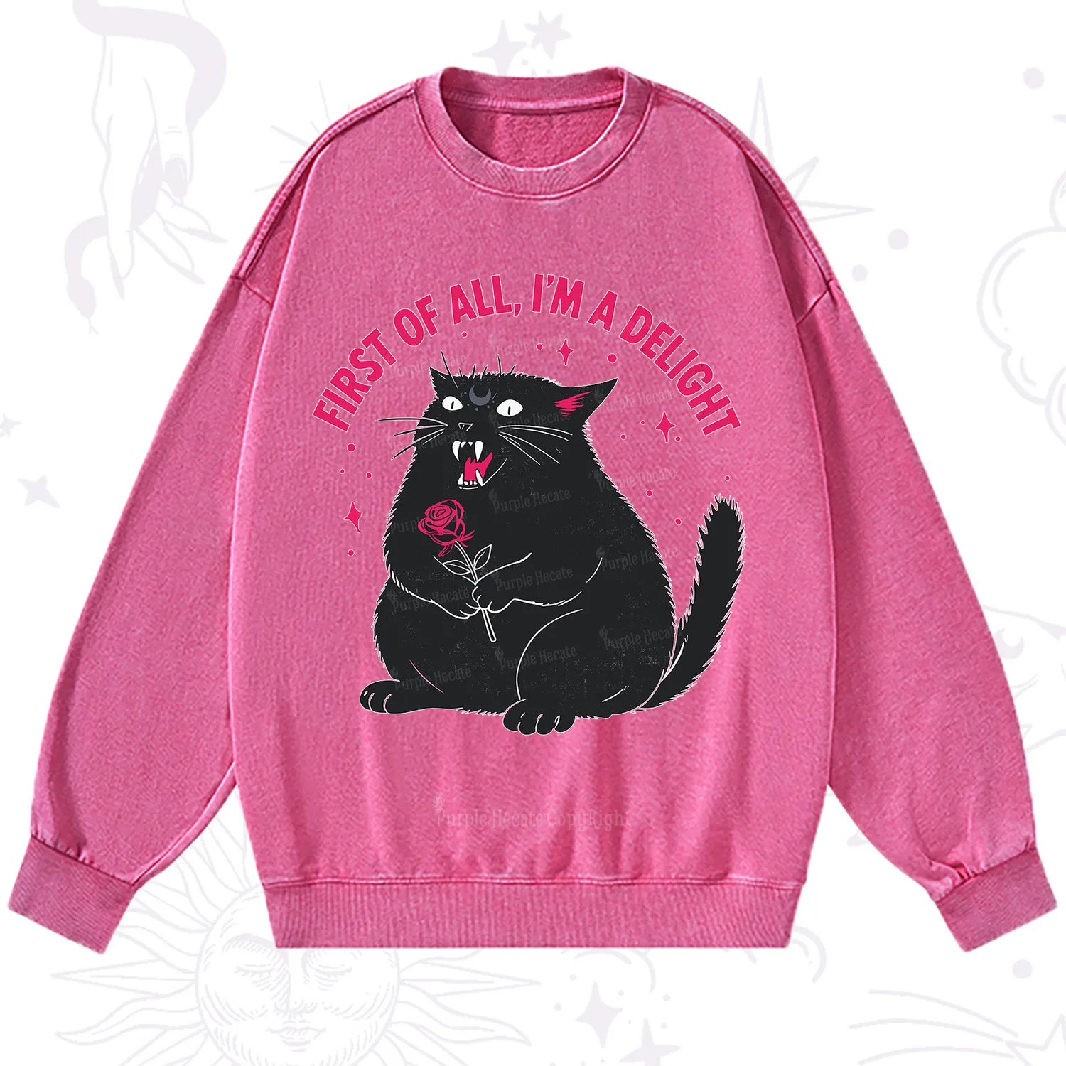 Purplehecate First Of All I'm A Delight Cat Washed Sweatshirt