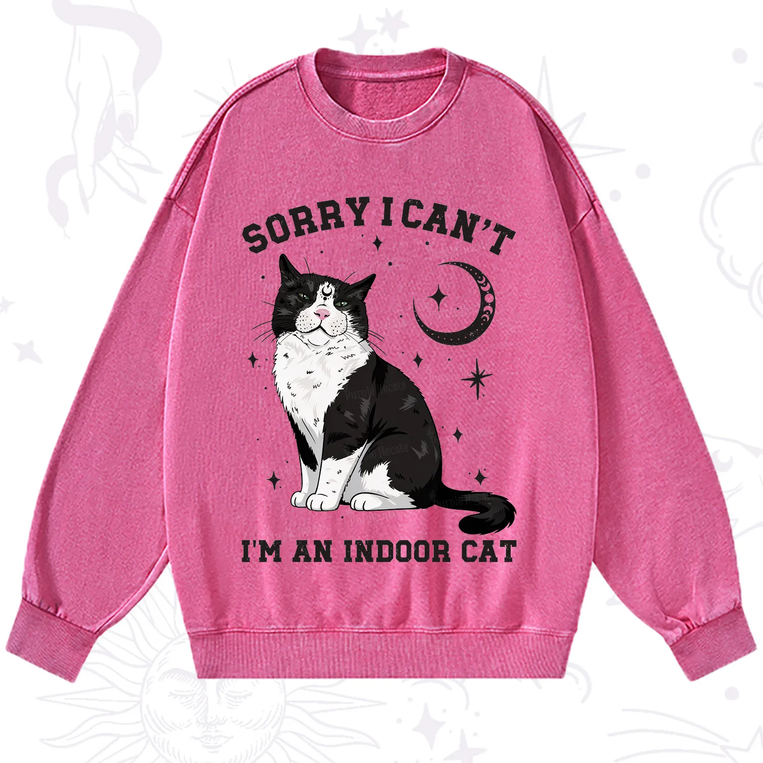 Purplehecate Sorry I Can't Go I'm an Indoor Cat Washed Sweatshirt