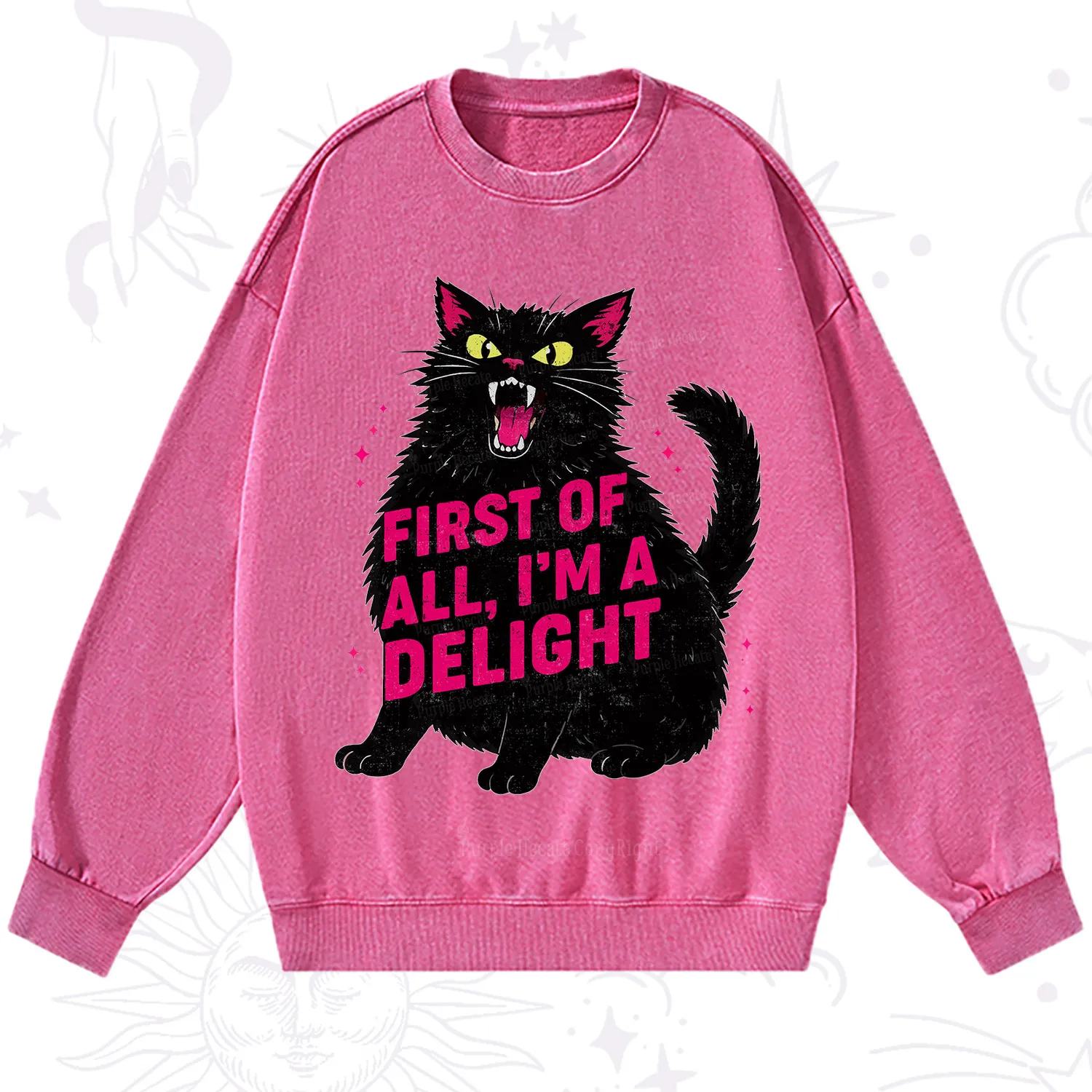 Purplehecate First Of All I'm A Delight Cat Washed Sweatshirt