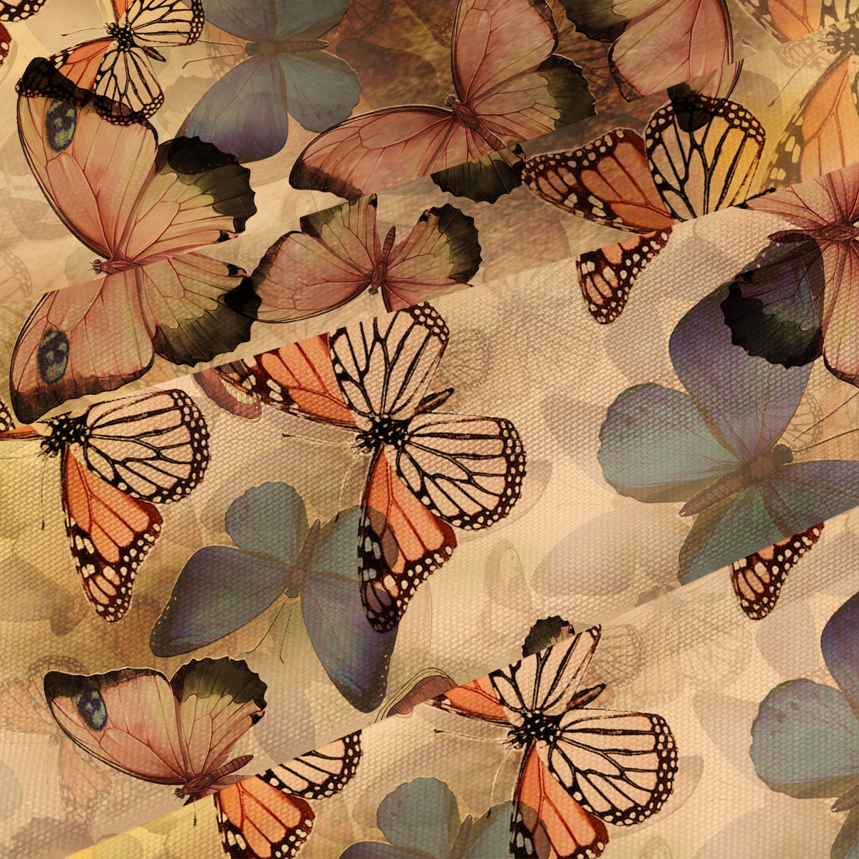 Purplehecate Monarch Butterfly Print Beachwear Cover-Up Dress