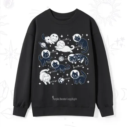 Purplehecate Cats in Space Sweatshirt