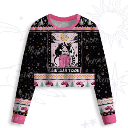 Purplehecate The Team Trash Opossum Crop Fuzzy Ugly Sweatshirt