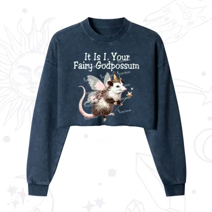 Purplehecate It Is I Your Fairy Godpossum Cropped Washed Sweatshirt