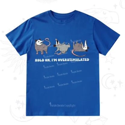Purplehecate Hold On I'm Overstimulated T-Shirt