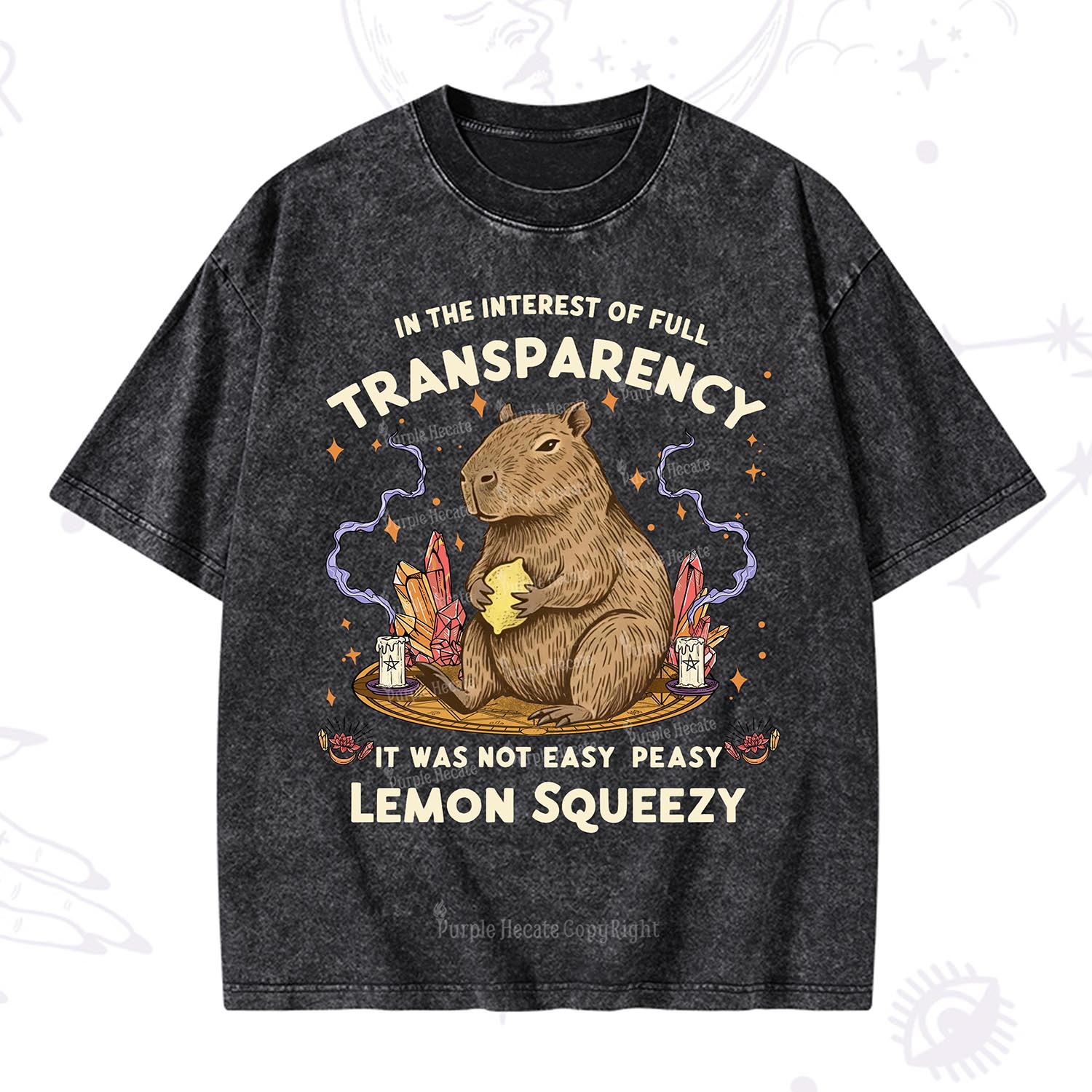 Purplehecate Funny Capybara Washed T-Shirt