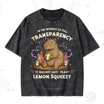 Purplehecate Funny Capybara Washed T-Shirt