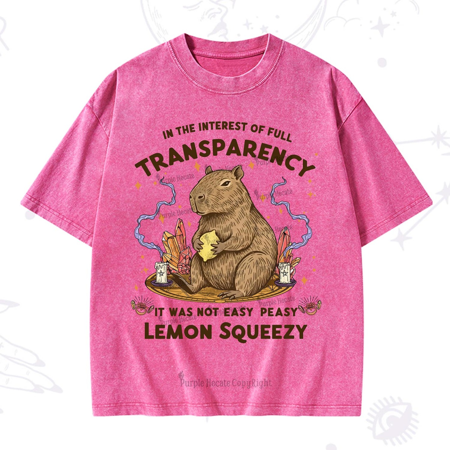 Purplehecate Funny Capybara Washed T-Shirt