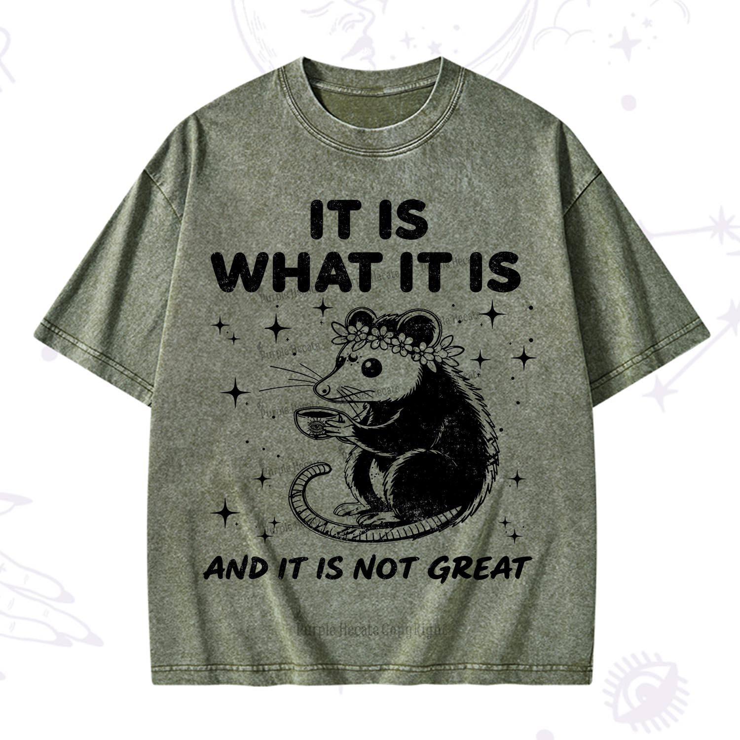 [Copy]Purplehecate Funny Capybara Washed T-Shirt
