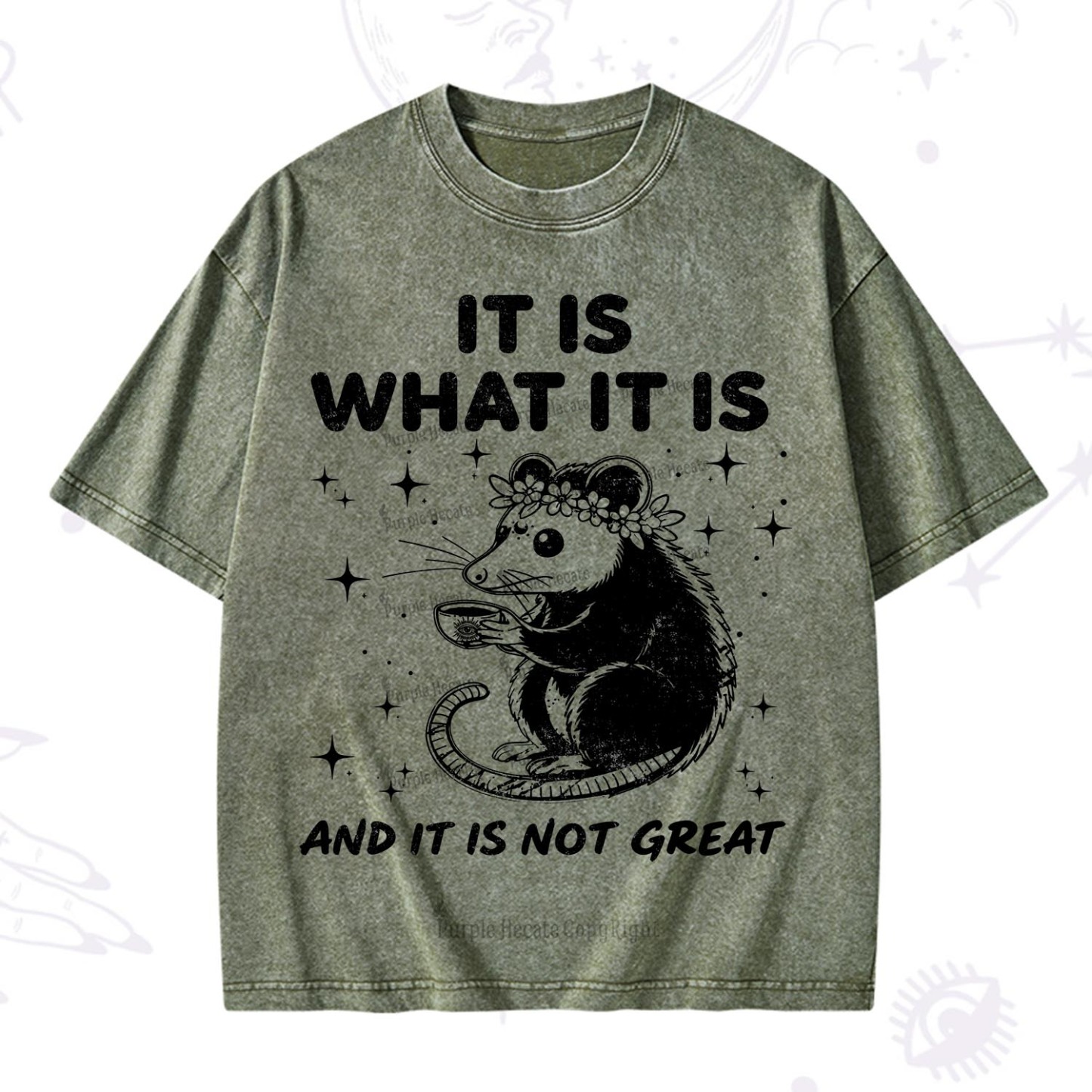 [Copy]Purplehecate Funny Capybara Washed T-Shirt