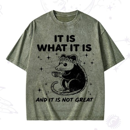 [Copy]Purplehecate Funny Capybara Washed T-Shirt