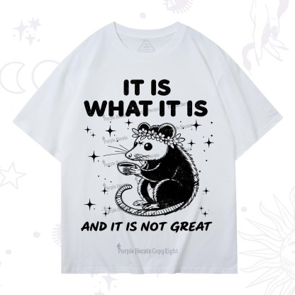 Purplehecate Possum It Is What It Is T-Shirt