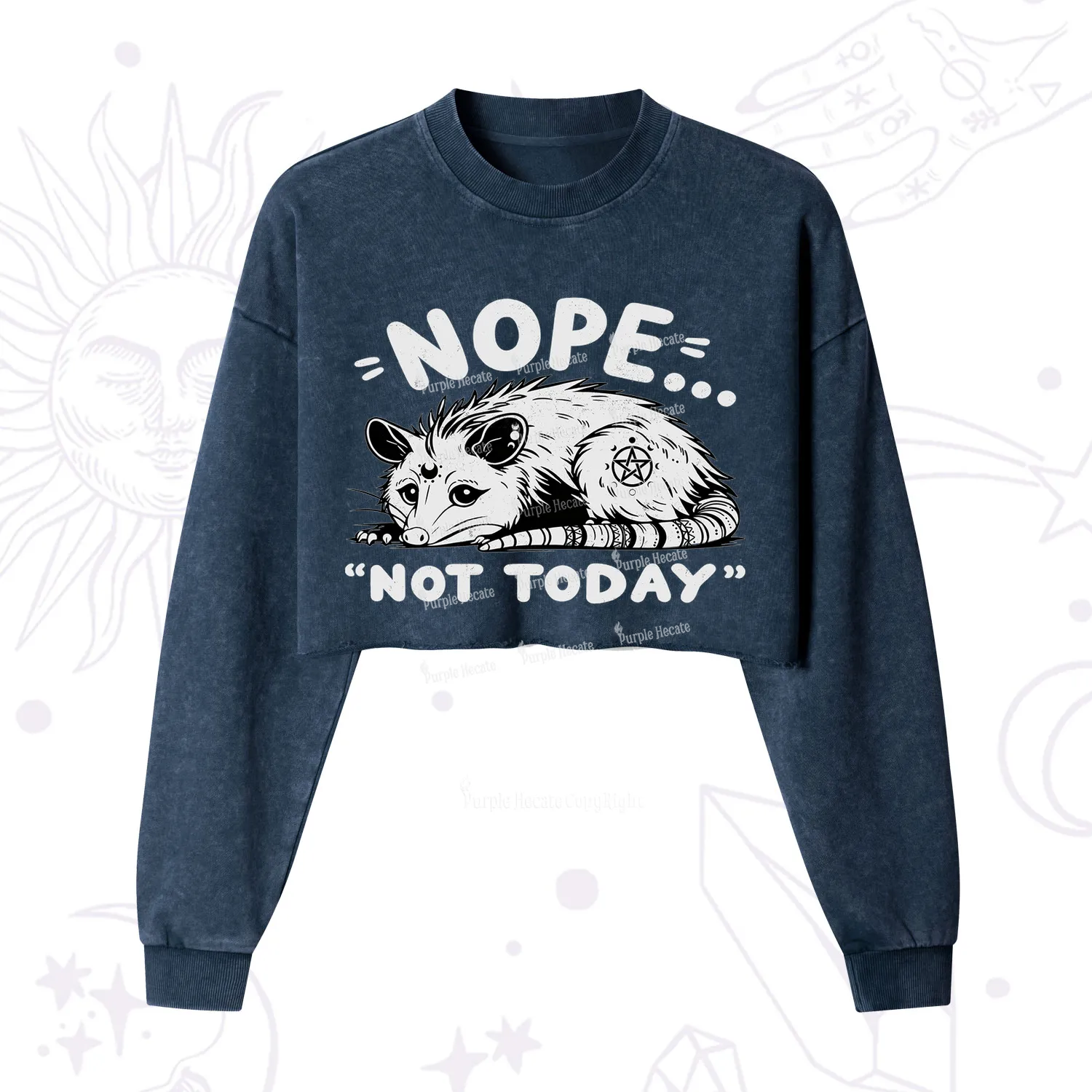 Purplehecate Not Today Possum Cropped Washed Sweatshirt