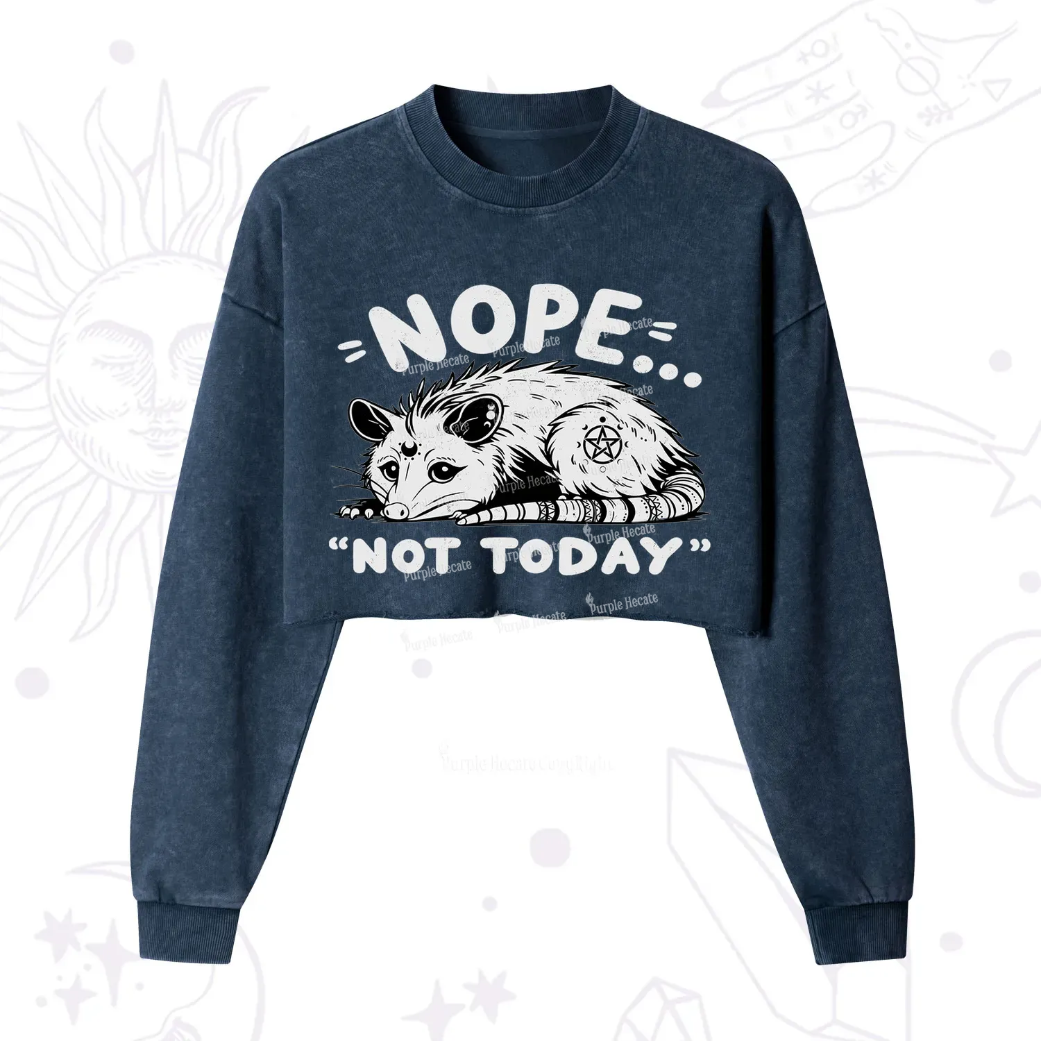 Purplehecate Not Today Possum Cropped Washed Sweatshirt