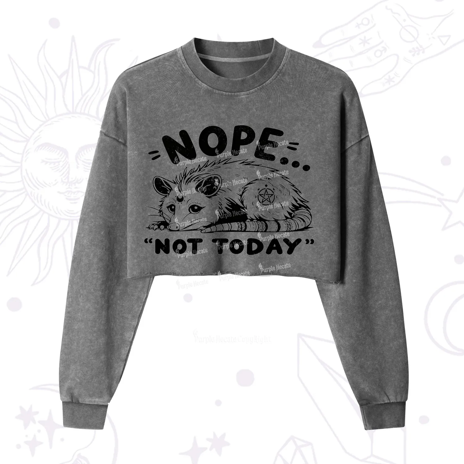 Purplehecate Not Today Possum Cropped Washed Sweatshirt