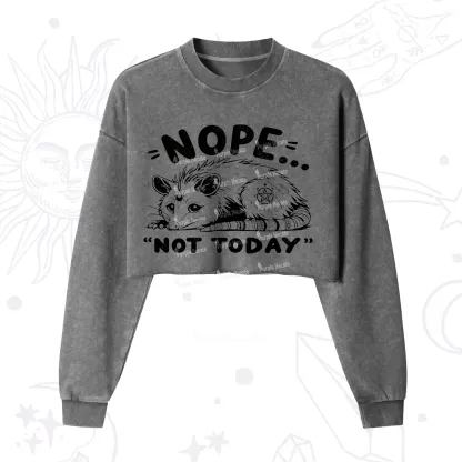 Purplehecate Not Today Possum Cropped Washed Sweatshirt