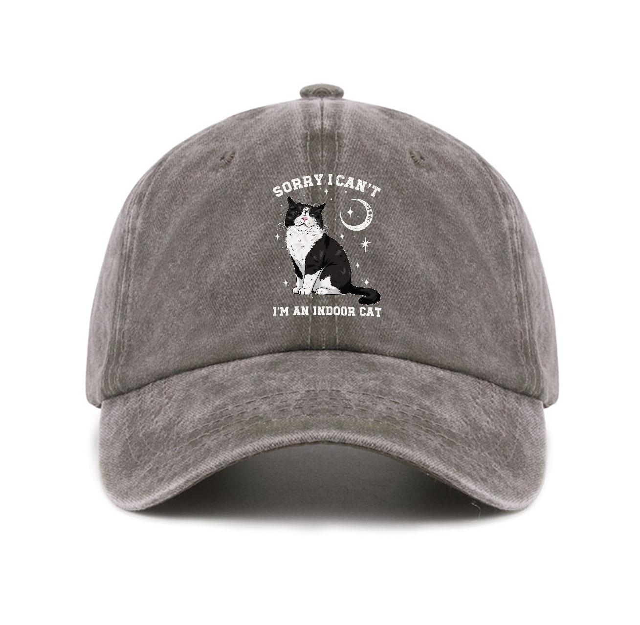 Purplehecate Sorry I Can't Go I'm an Indoor Cat Baseball Cap