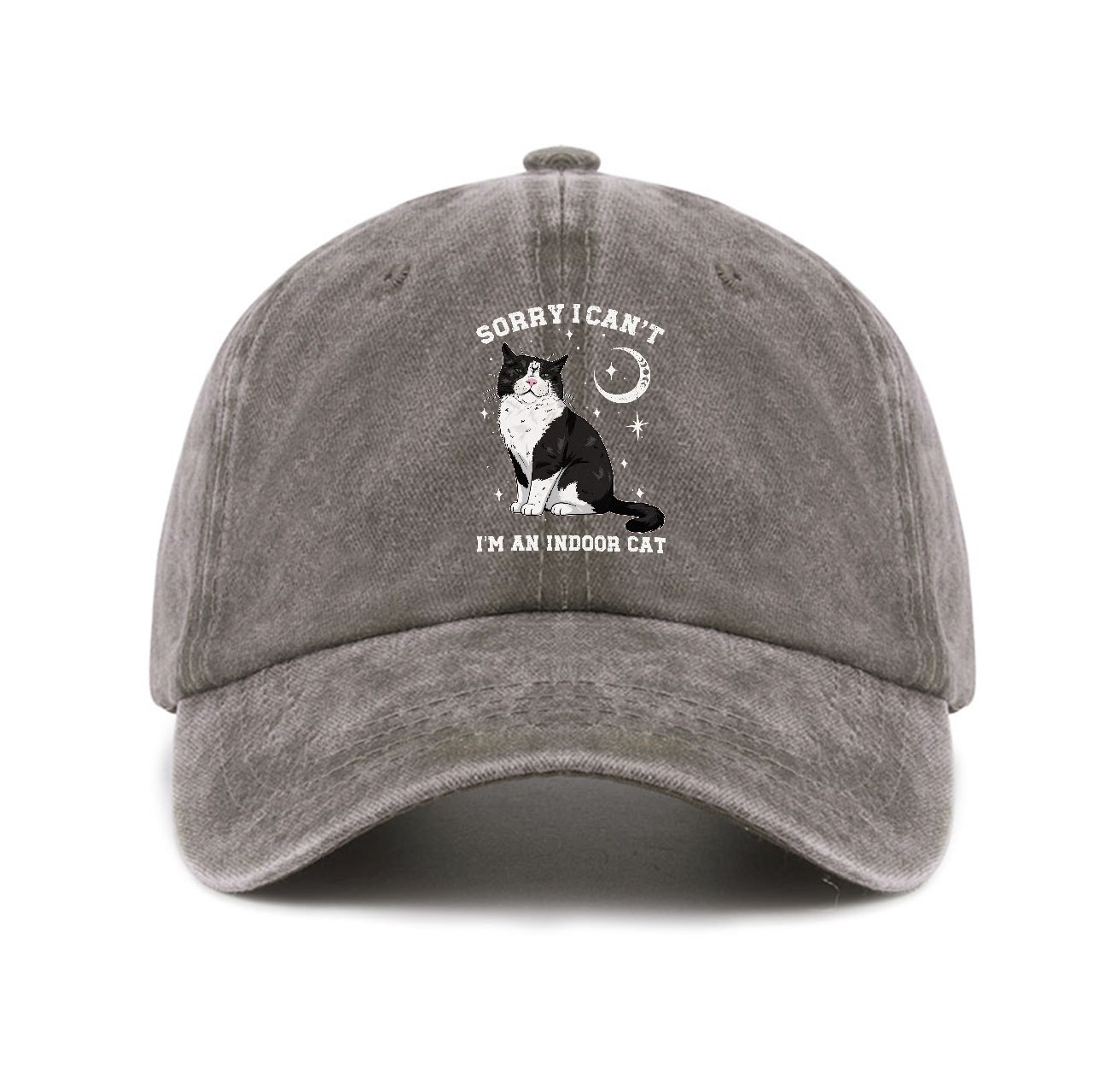 Purplehecate Sorry I Can't Go I'm an Indoor Cat Baseball Cap