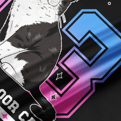 Purplehecate Sorry I Can't Go I'm an Indoor Cat Crop Jersey Top