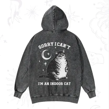 Purplehecate Sorry I Can't Go I'm an Indoor Cat Washed Hoodie