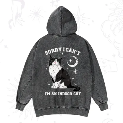 Purplehecate Sorry I Can't Go I'm an Indoor Cat Washed Hoodie