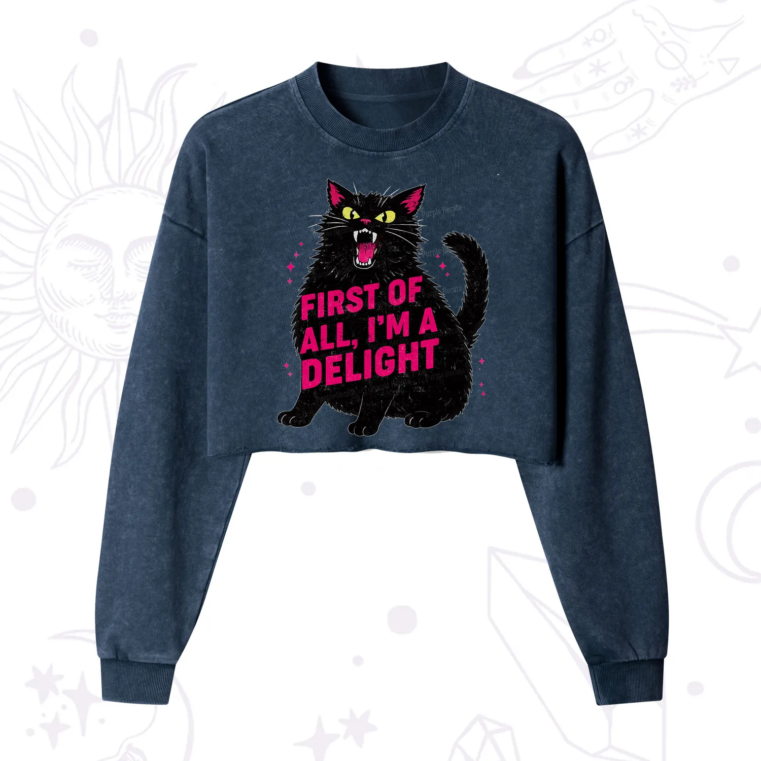 Purplehecate First Of All I'm A Delight Cat Cropped Washed Sweatshirt
