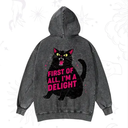 Purplehecate First Of All I'm A Delight Cat Washed Hoodie