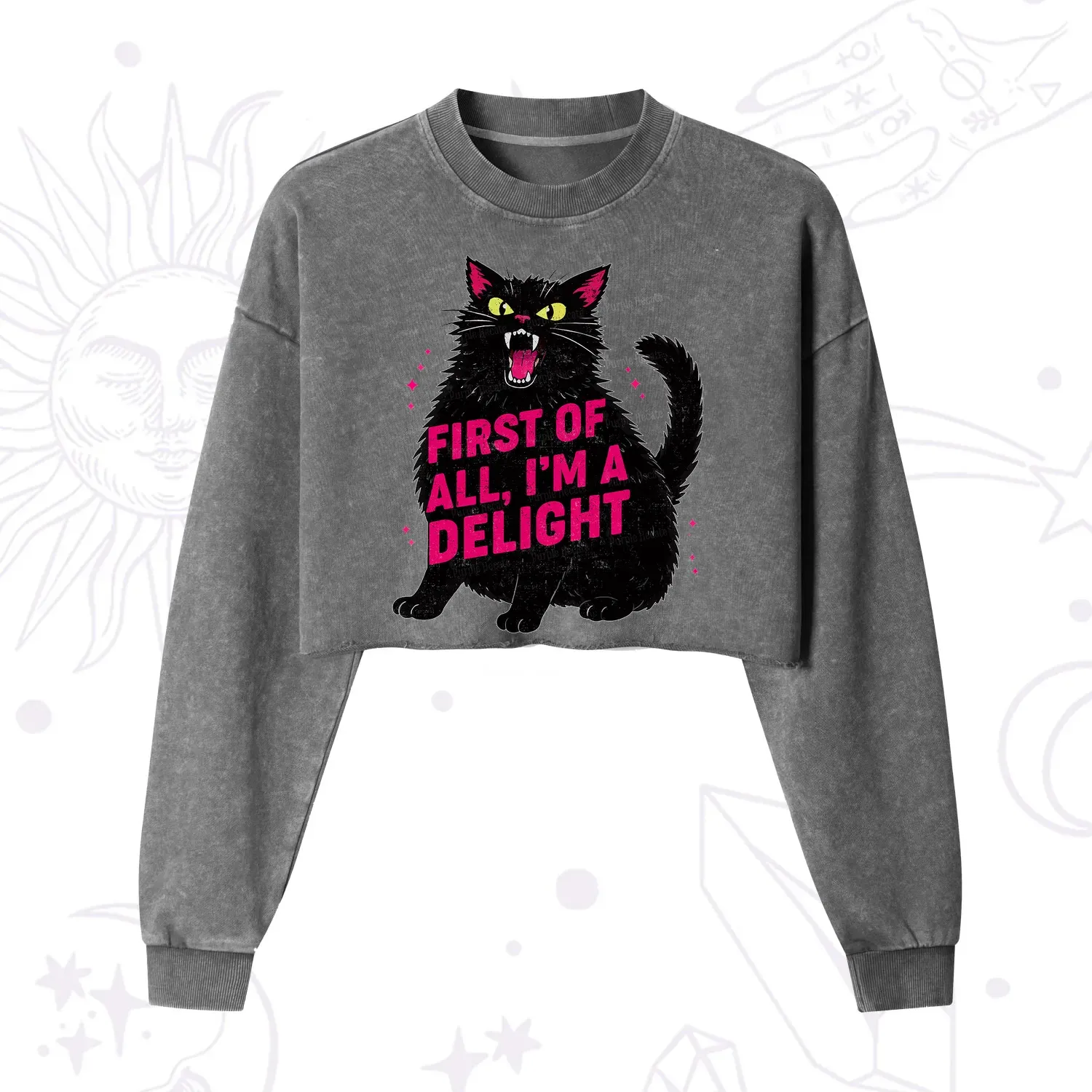 Purplehecate First Of All I'm A Delight Cat Cropped Washed Sweatshirt