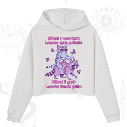 Purplehecate Lower Gas Prices Lower Back Pain Cat Crop Hoodie
