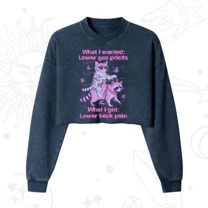 Purplehecate Lower Gas Prices Lower Back Pain Cat Cropped Washed Sweatshirt