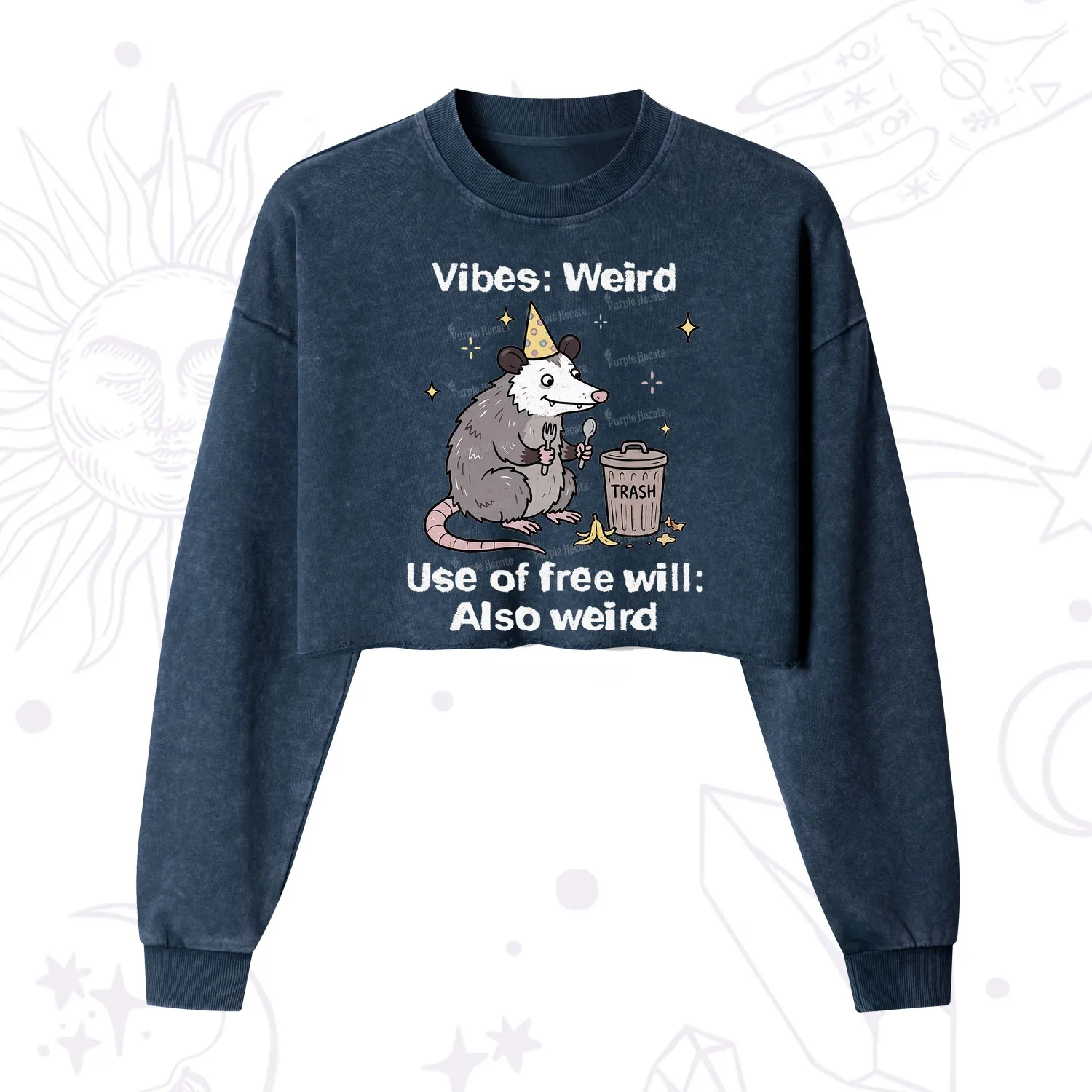 Purplehecate Weird Vibes Only Opossum Cropped Washed Sweatshirt