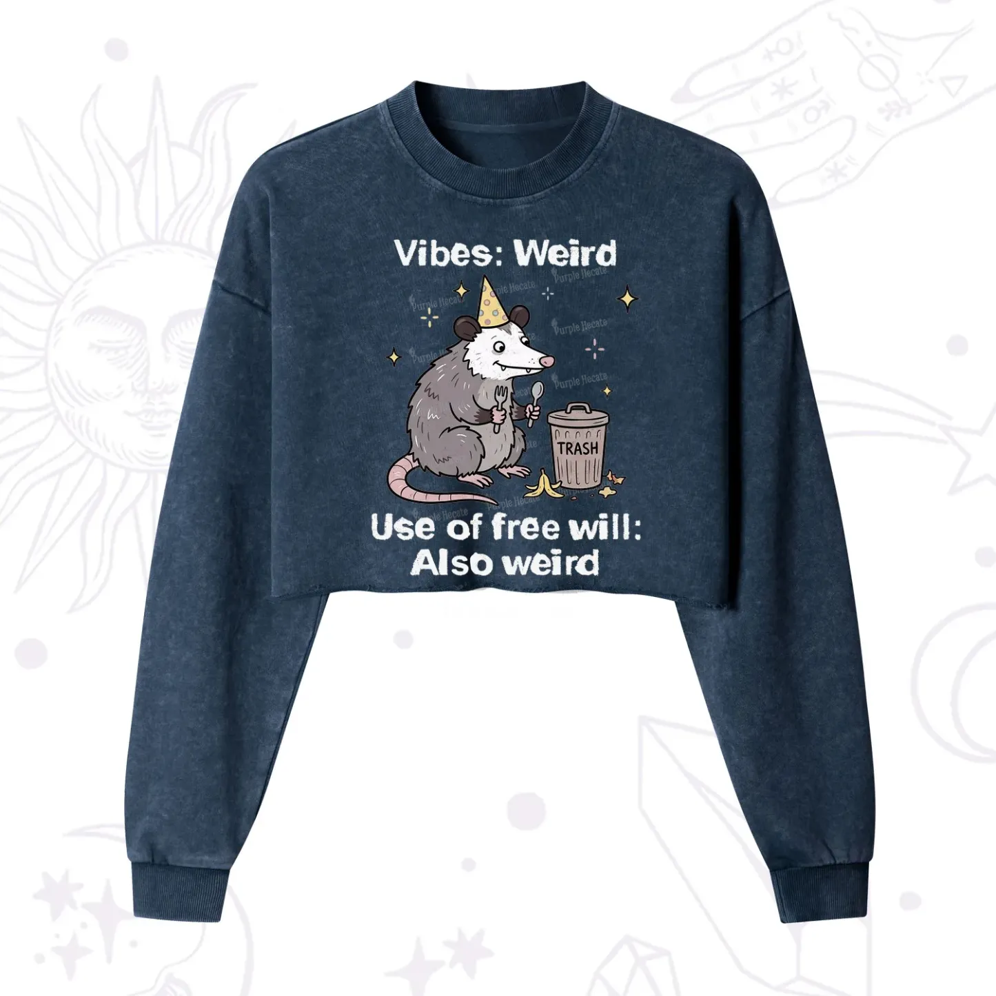 Purplehecate Weird Vibes Only Opossum Cropped Washed Sweatshirt