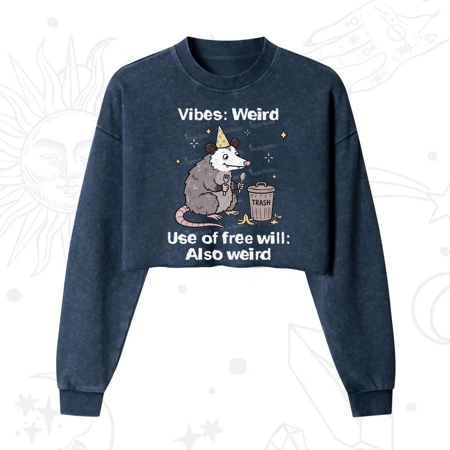 Purplehecate Weird Vibes Only Opossum Cropped Washed Sweatshirt