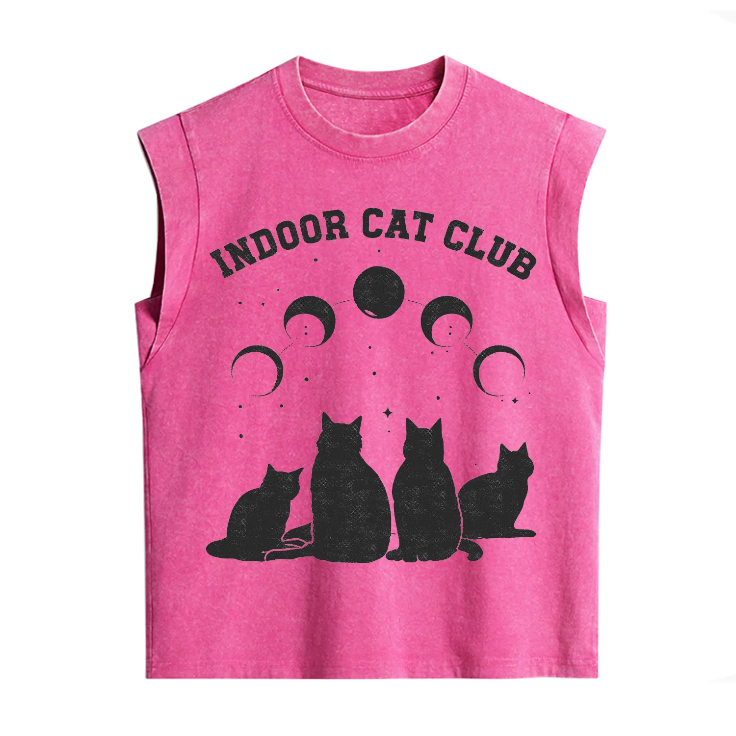 Purplehecate Indoor Cat Club Vintage Washed Tank