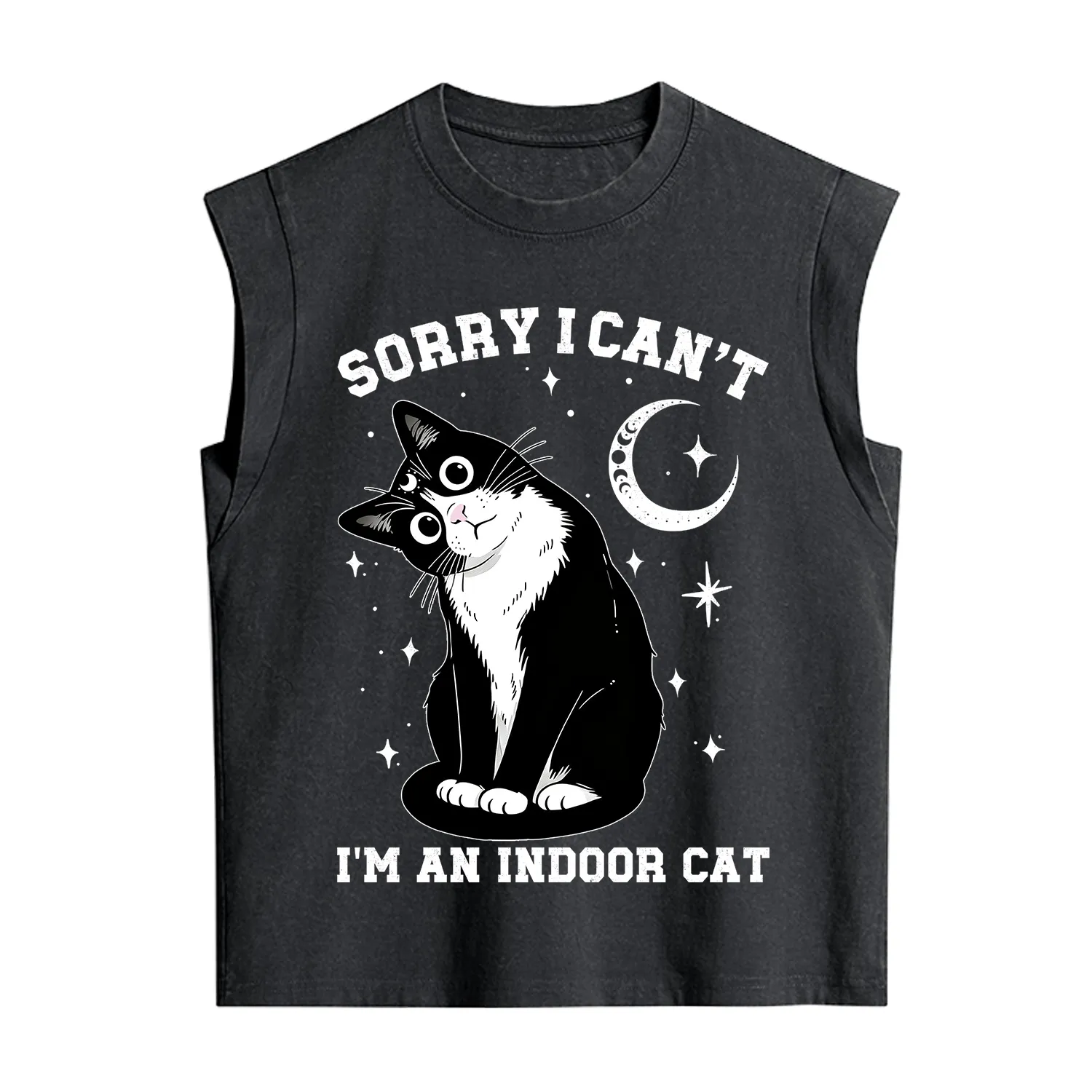 Purplehecate Sorry I Can't Go I'm an Indoor Cat Vintage Washed Tank