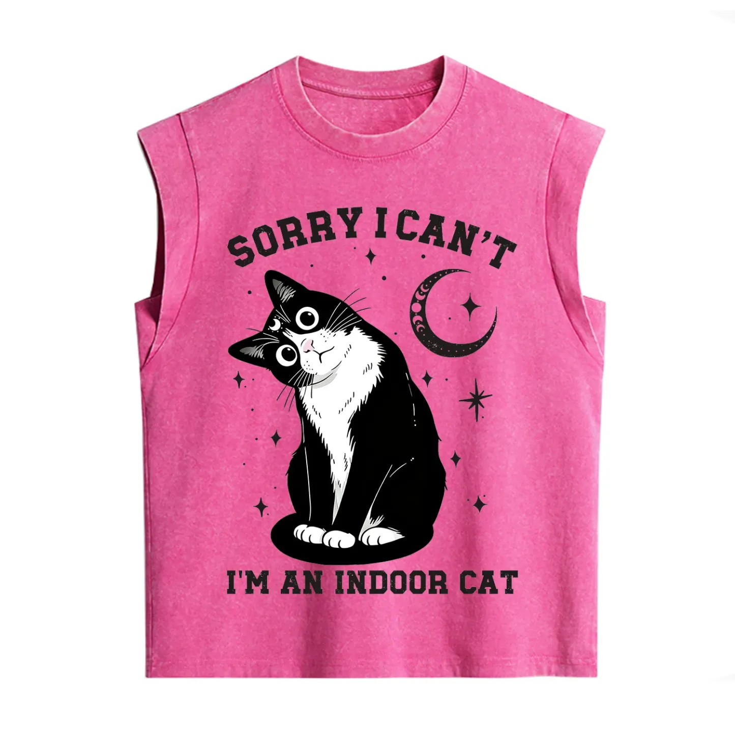 Purplehecate Sorry I Can't Go I'm an Indoor Cat Vintage Washed Tank