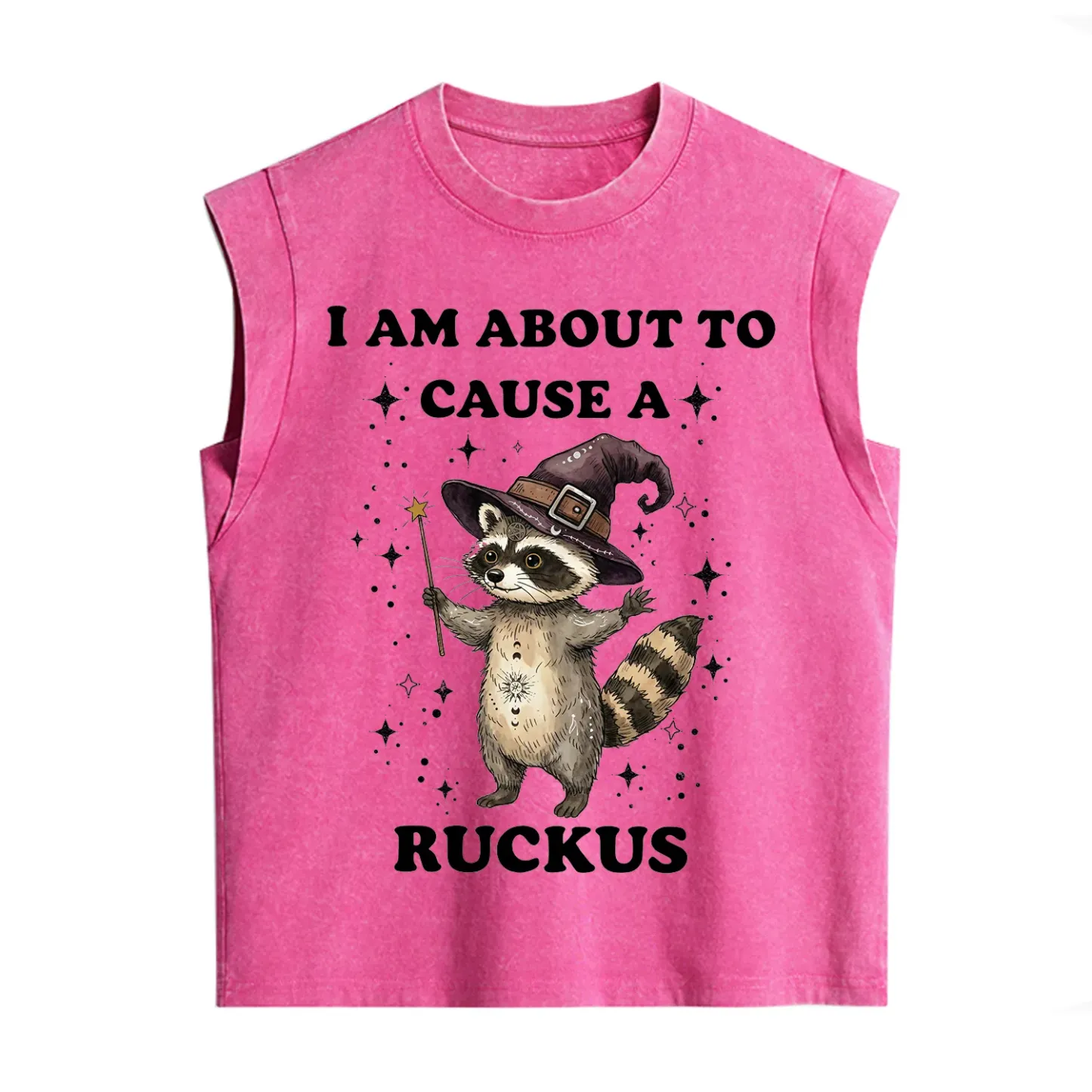 Purplehecate I Am About To Cause A Ruckus Vintage Washed Tank