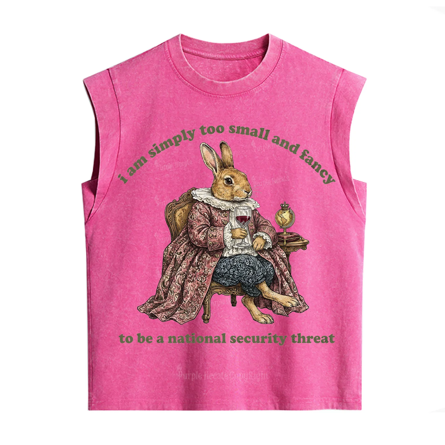 Purplehecate Too Small and Fancy Vintage Washed Tank