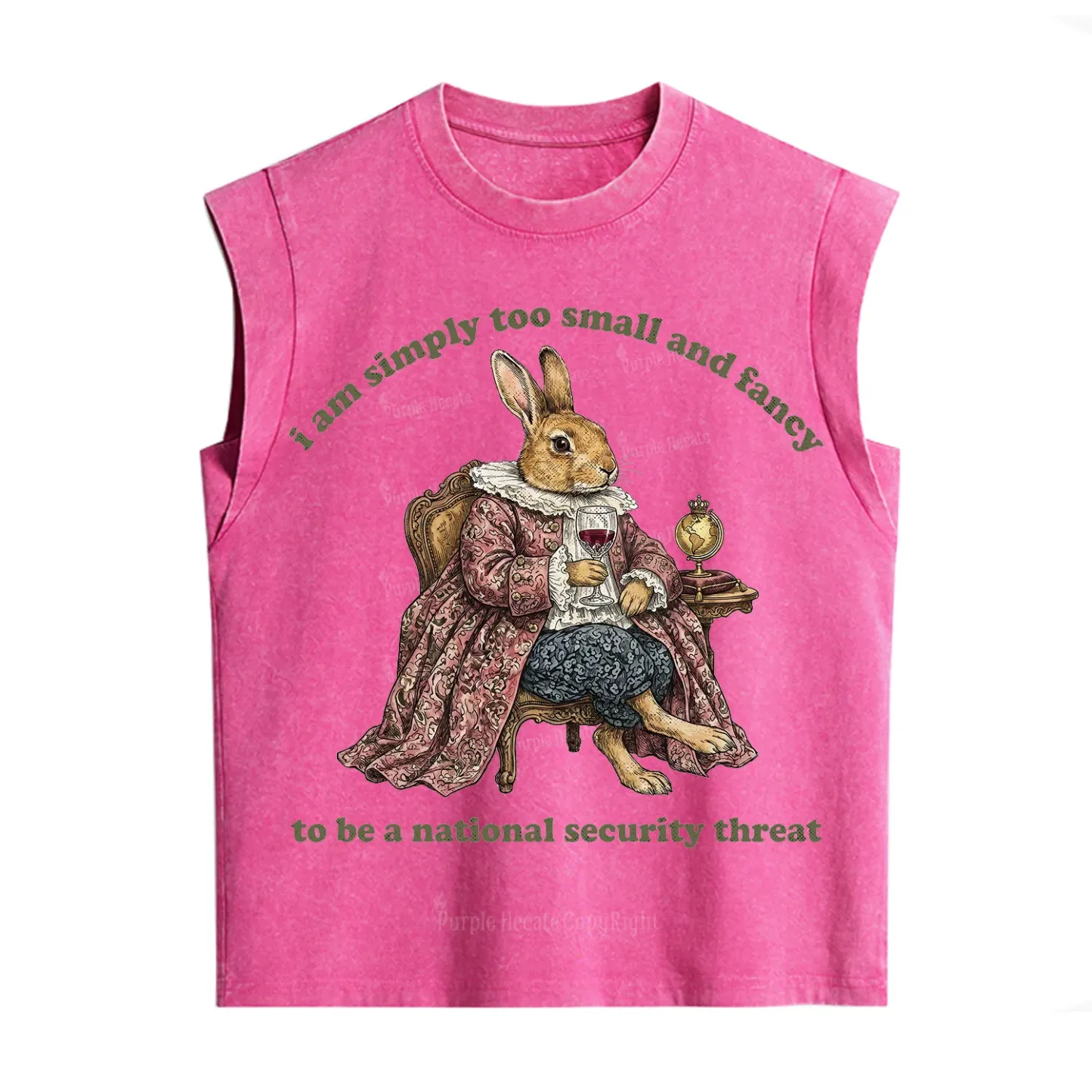 Purplehecate Too Small and Fancy Vintage Washed Tank