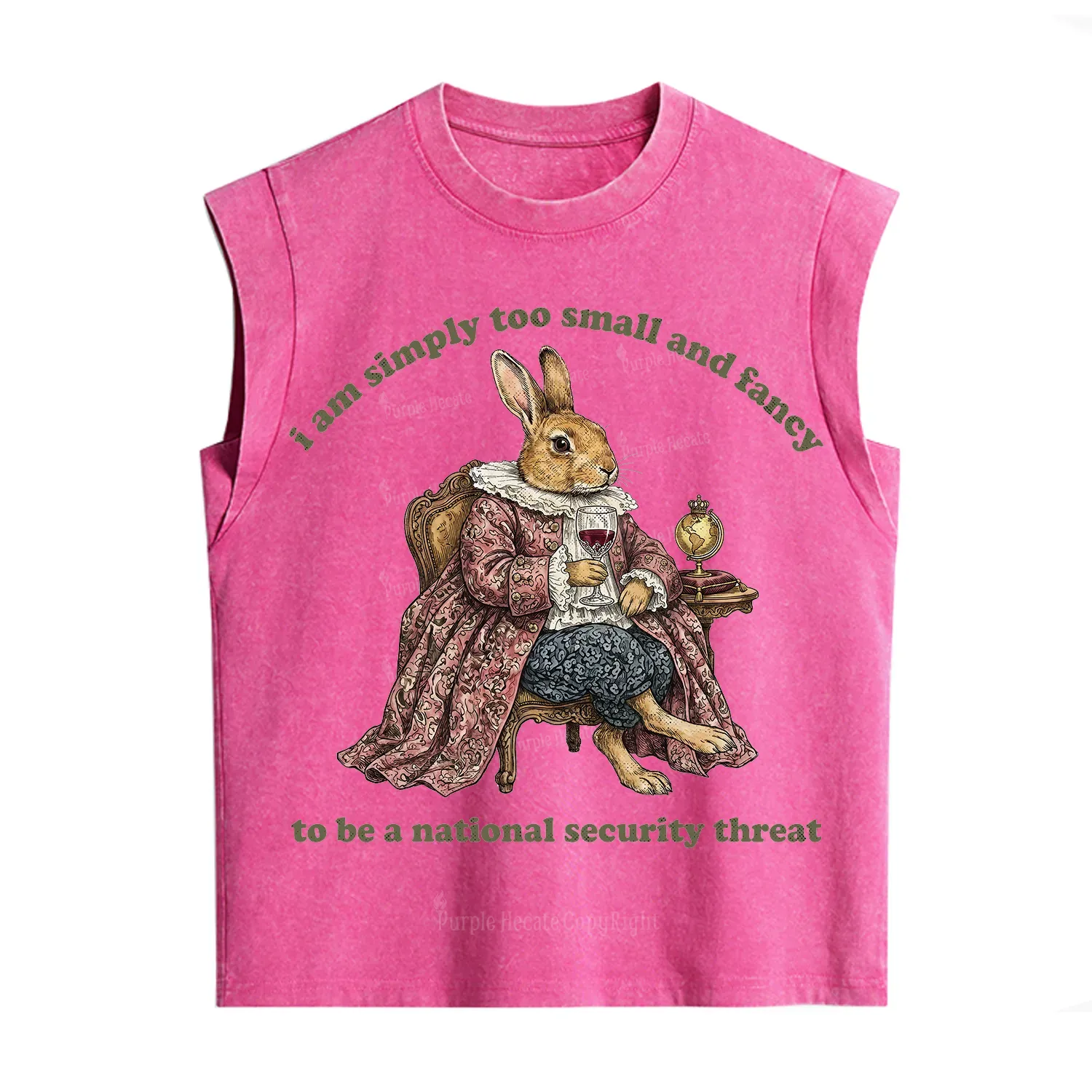 Purplehecate Too Small and Fancy Vintage Washed Tank