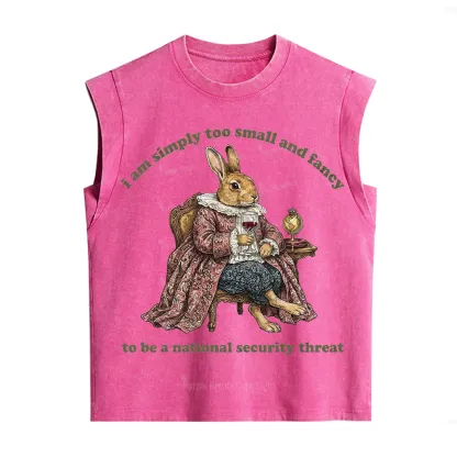 Purplehecate Too Small and Fancy Vintage Washed Tank