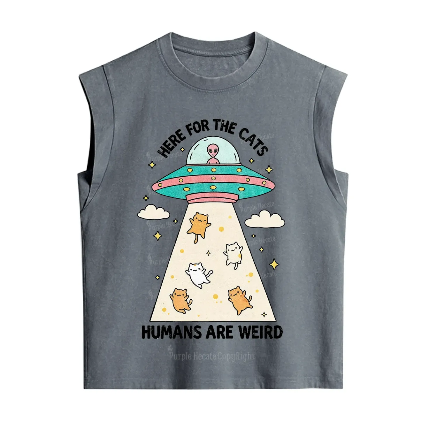 Purplehecate Here For The Cats Humans Are Weird Vintage Washed Tank