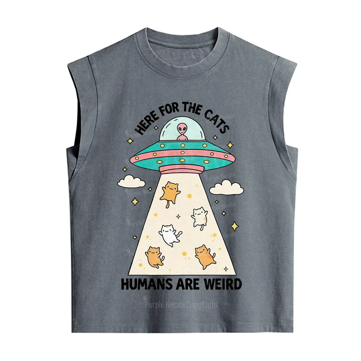 Purplehecate Here For The Cats Humans Are Weird Vintage Washed Tank