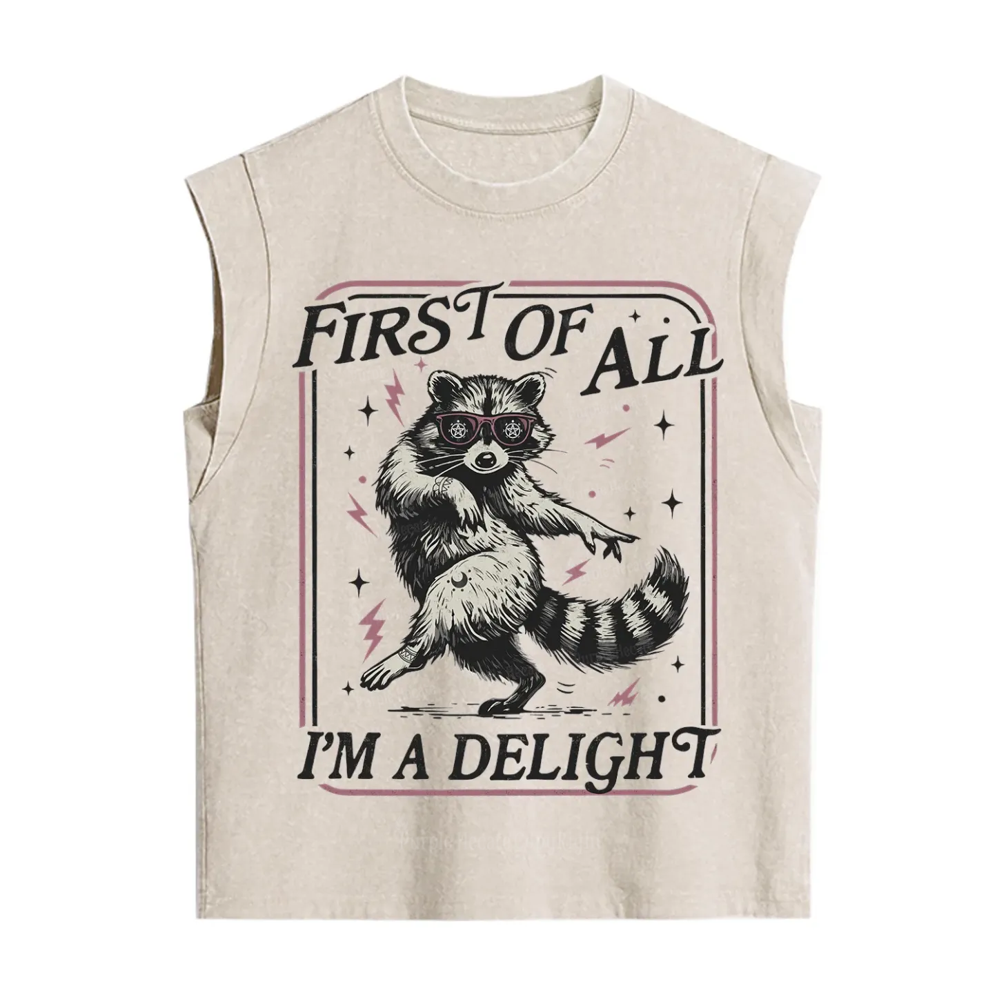 Purplehecate First Of All I'm A Delight Racoon Vintage Washed Tank
