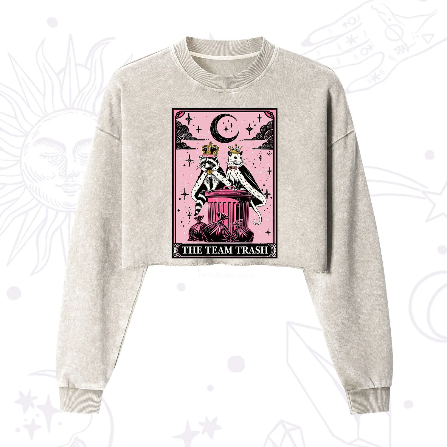 Purplehecate The Trash Kingdom's Tarot Opossum and Raccoon Cropped Washed Sweatshirt