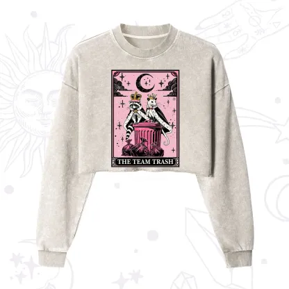 Purplehecate The Trash Kingdom's Tarot Opossum and Raccoon Cropped Washed Sweatshirt