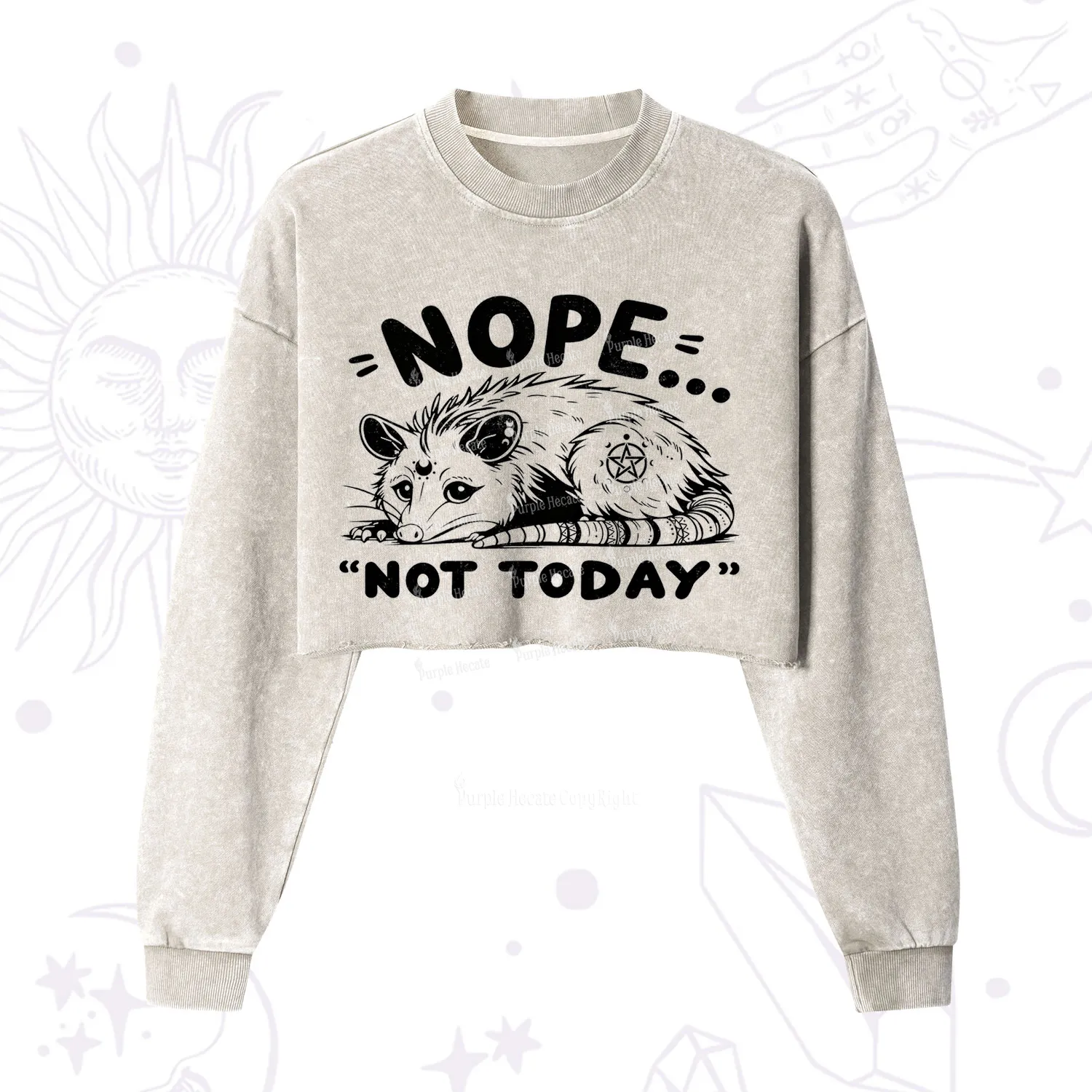 Purplehecate Not Today Possum Cropped Washed Sweatshirt