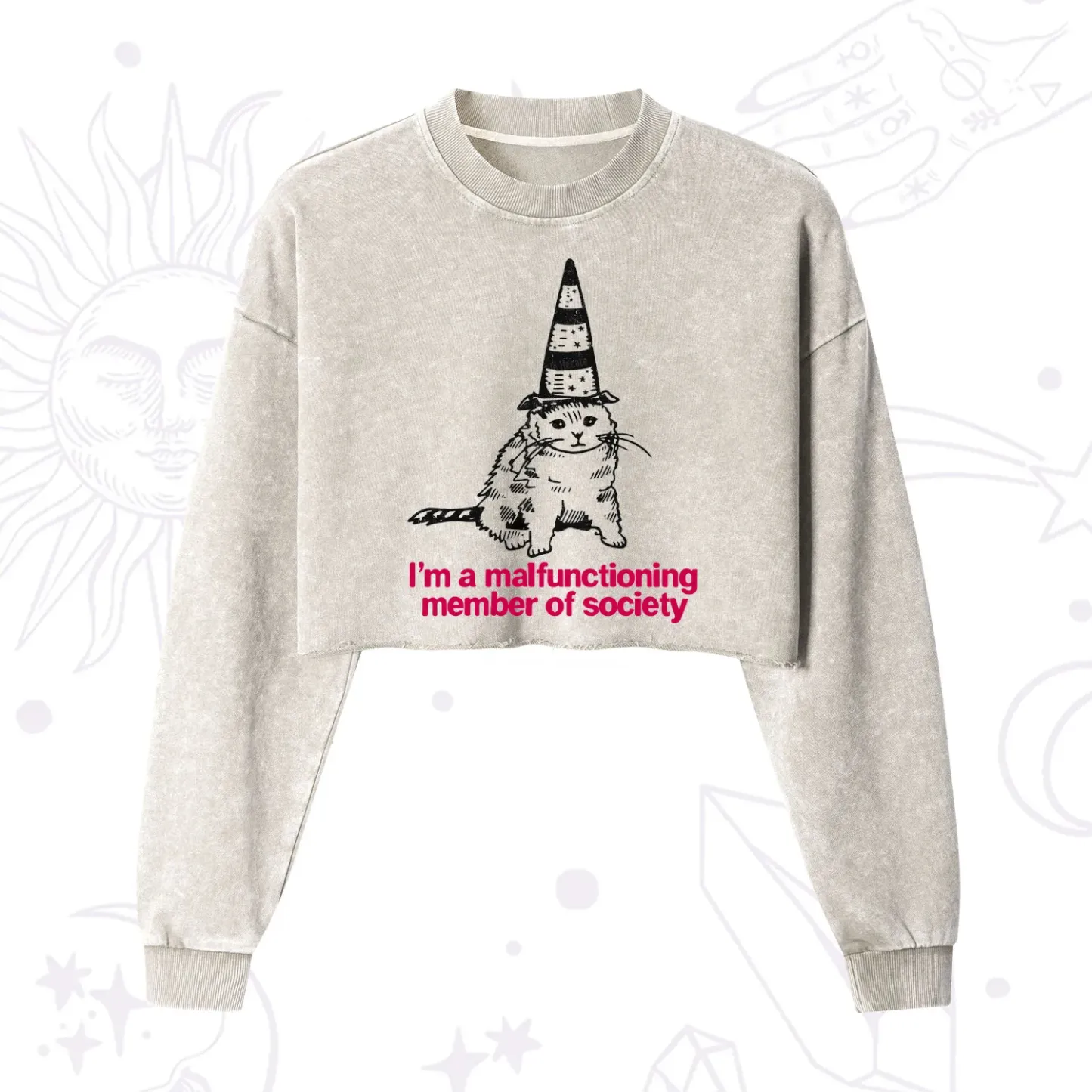 Purplehecate Social Anxiety Cat Cropped Washed Sweatshirt