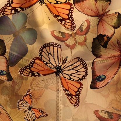 Purplehecate Monarch Butterfly Print Yoga Pants