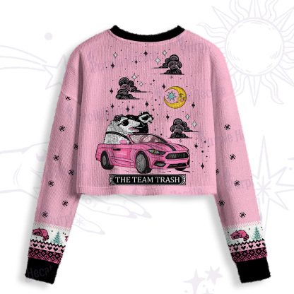 Purplehecate Moonlight Trash Team Crop Fuzzy Ugly Sweatshirt