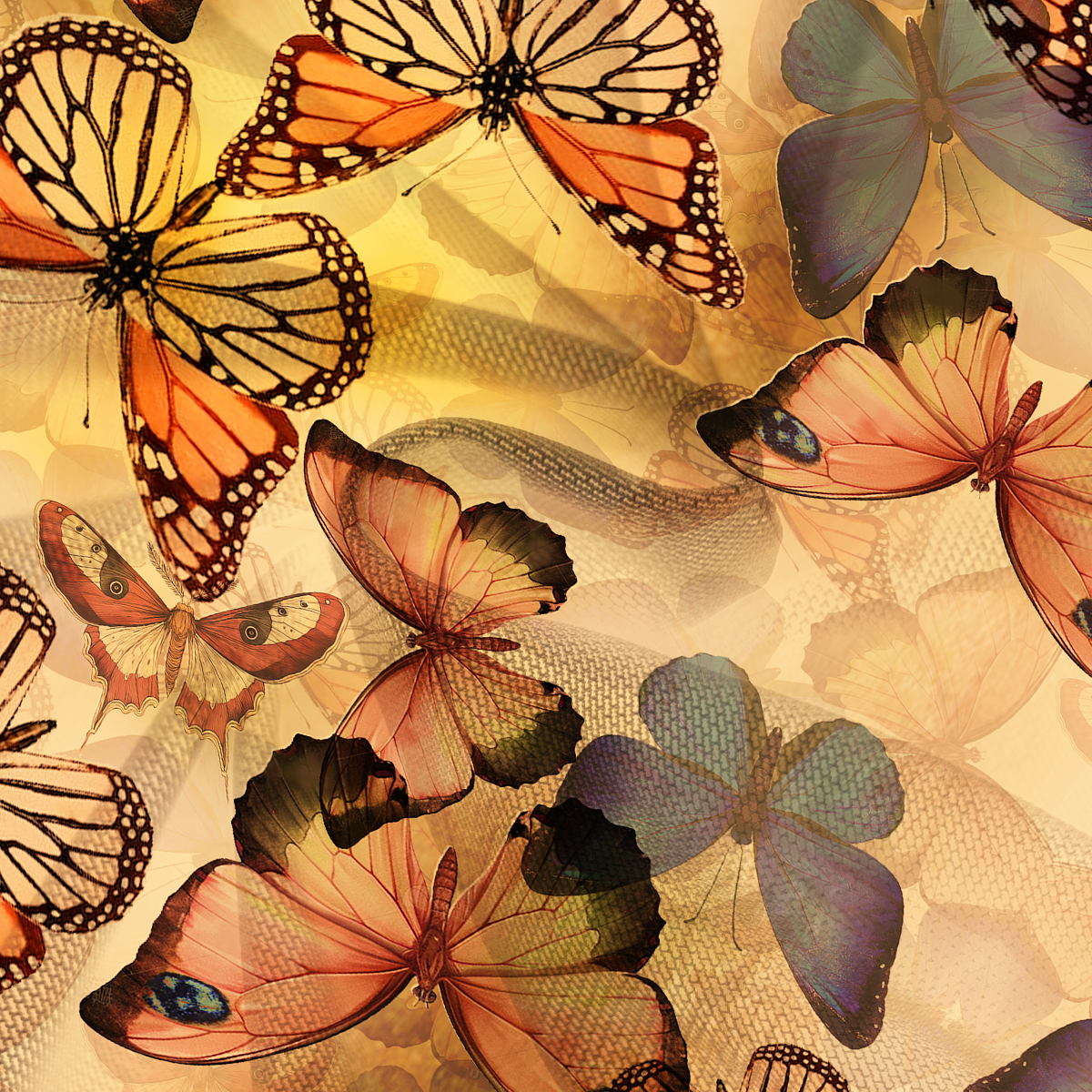 Purplehecate Monarch Butterfly Print Mesh Cover Up Dress